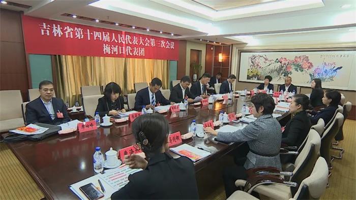 出席吉林省十四届人大三次会议的梅河口代表团召开代表团会议